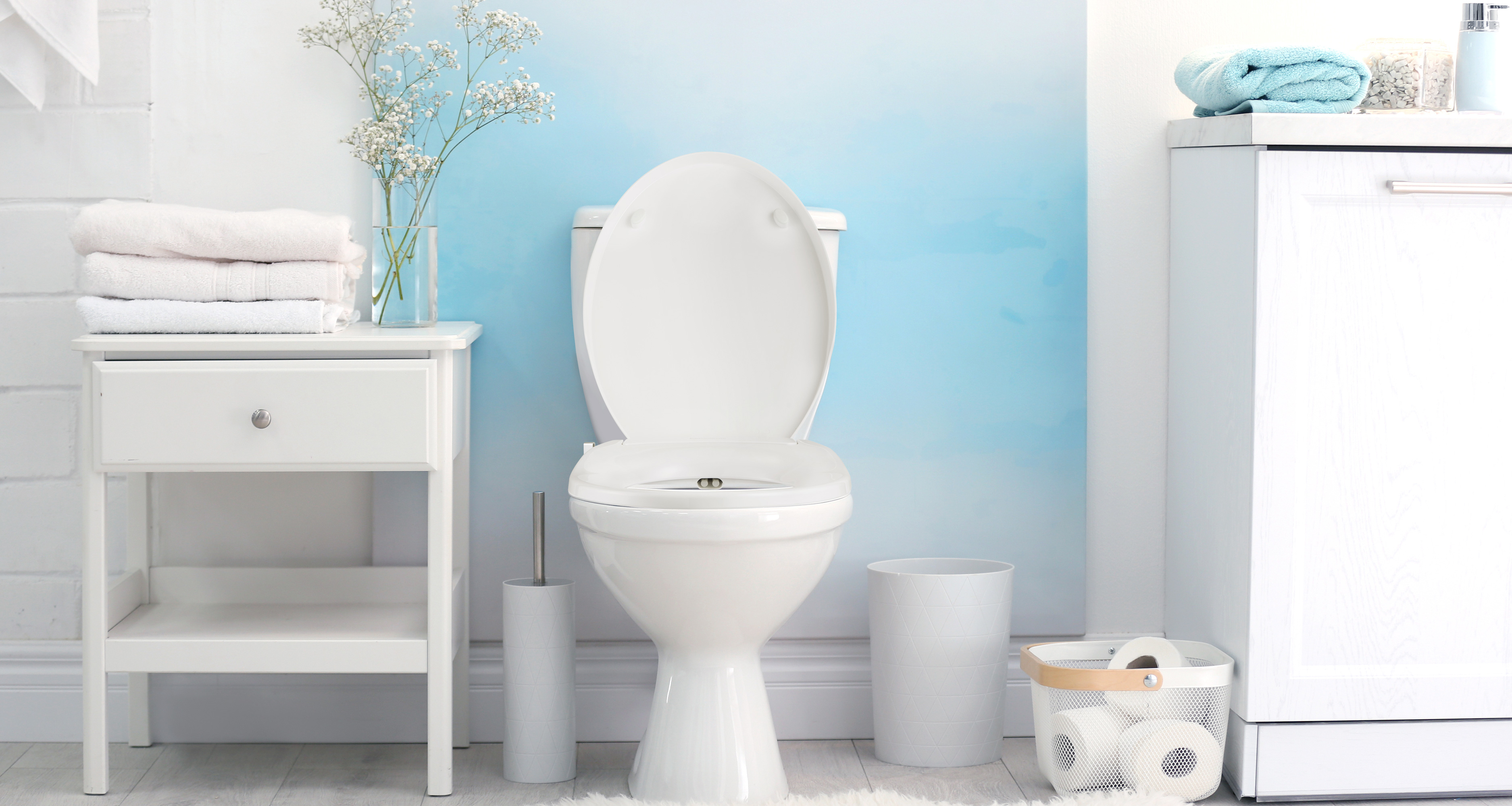 Hygienic EzyClean Bidet DL-AR15DWM – D-Shape