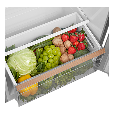 Toshiba 330L NaturePure Series PureBIO Go Origin Inverter Two Door Refrigerator GR-RT349WE-PMY(57) thumbnail 9