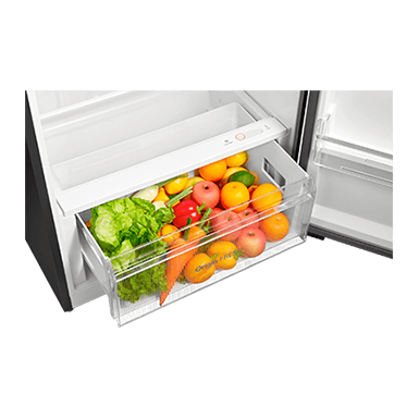 Toshiba 530L PureBIO Origin Inverter Two Door Refrigerator GR-RT624WE-PMY(06) thumbnail 6
